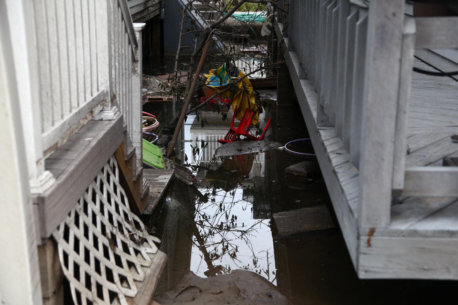 art-of-sandy-mo-IMG_5802 (2).jpg